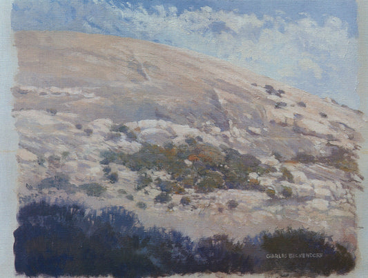 I - 116 Enchanted Rock